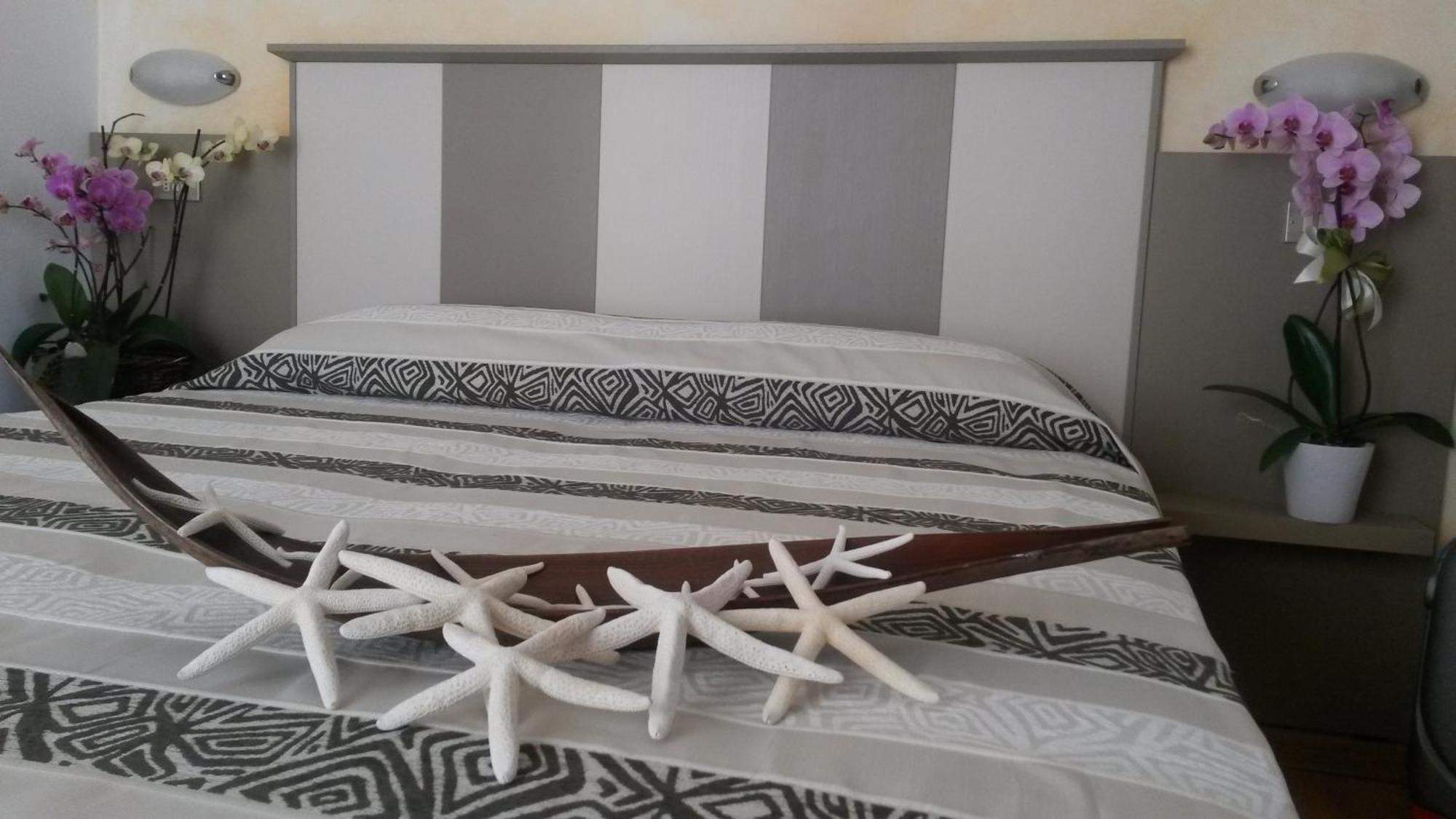 רימיני Hotel Camelia מראה חיצוני תמונה
